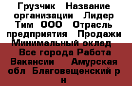 Грузчик › Название организации ­ Лидер Тим, ООО › Отрасль предприятия ­ Продажи › Минимальный оклад ­ 1 - Все города Работа » Вакансии   . Амурская обл.,Благовещенский р-н